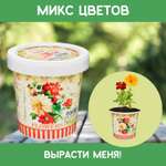 Набор для выращивания Rostok Visa