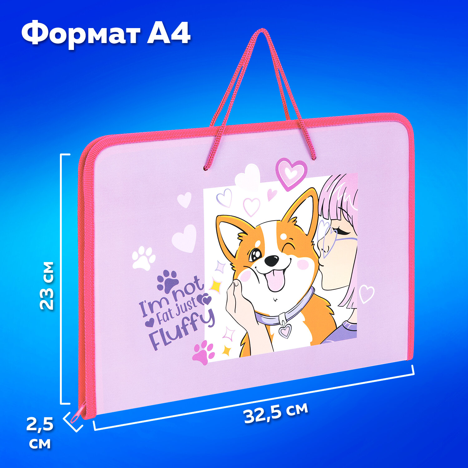 Папка для тетрадей Пифагор А4 - фото 4