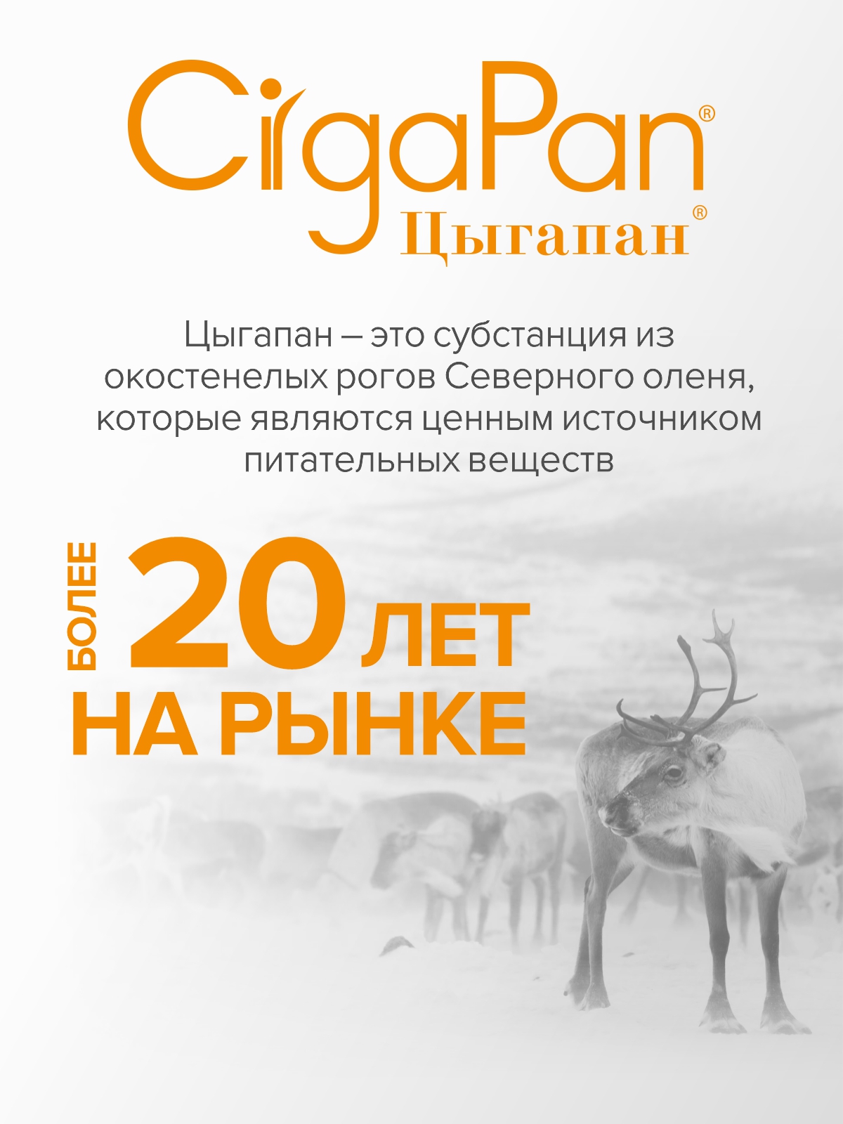 Спортивное питание Цыгапан CigaPan Цыгапан аминокислоты комплекс для мужчин и женщин, 90 капсул - фото 15