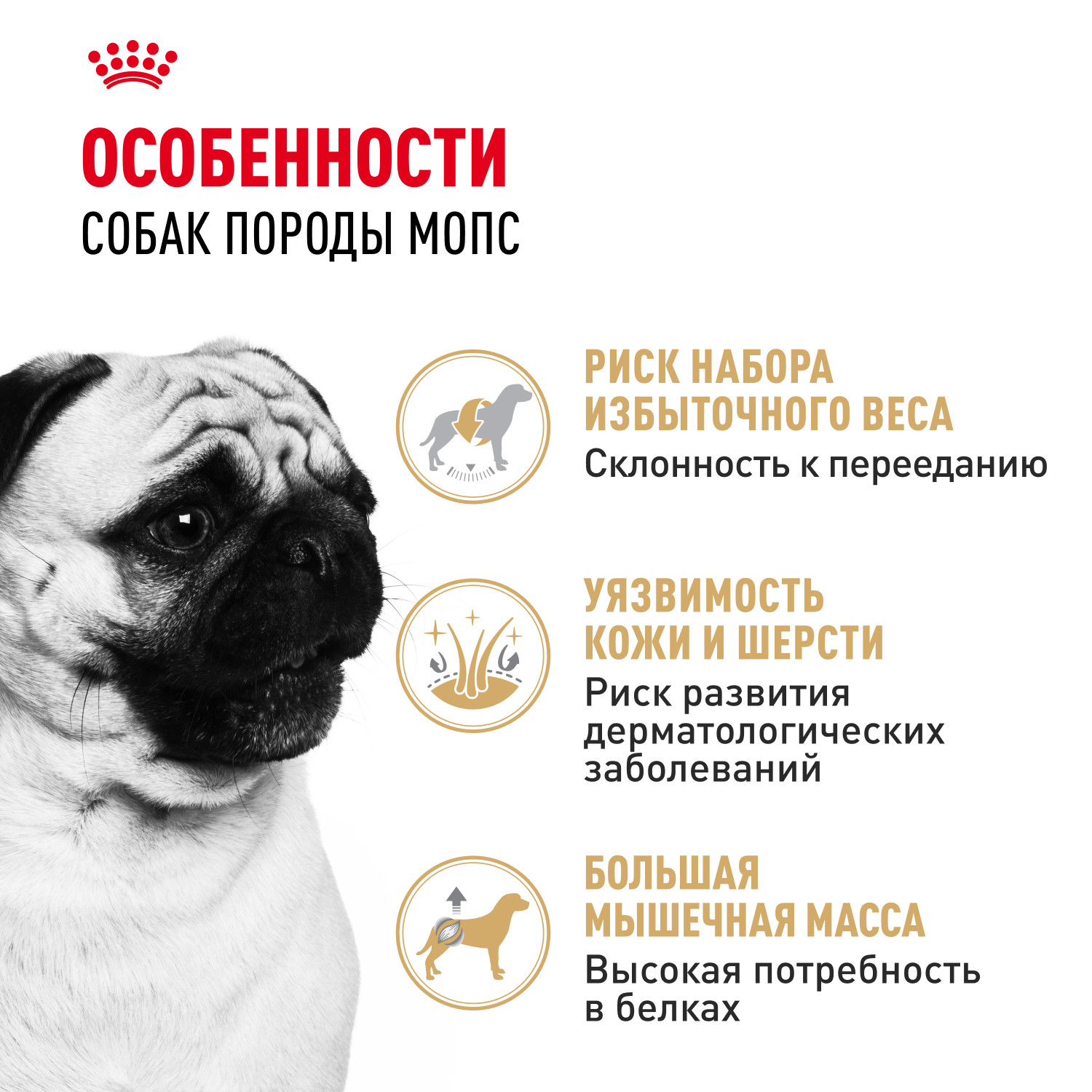 Корм для собак ROYAL CANIN породы мопс 7.5кг - фото 2