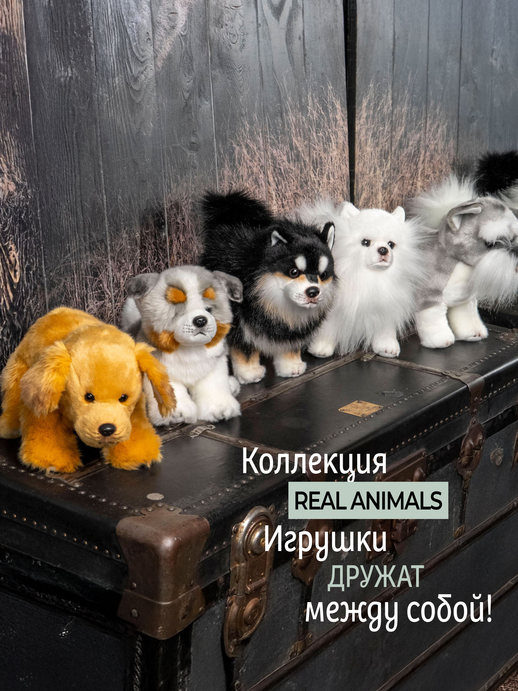 Мягкая игрушка GULLIVER toys Австралийская собака - фото 11