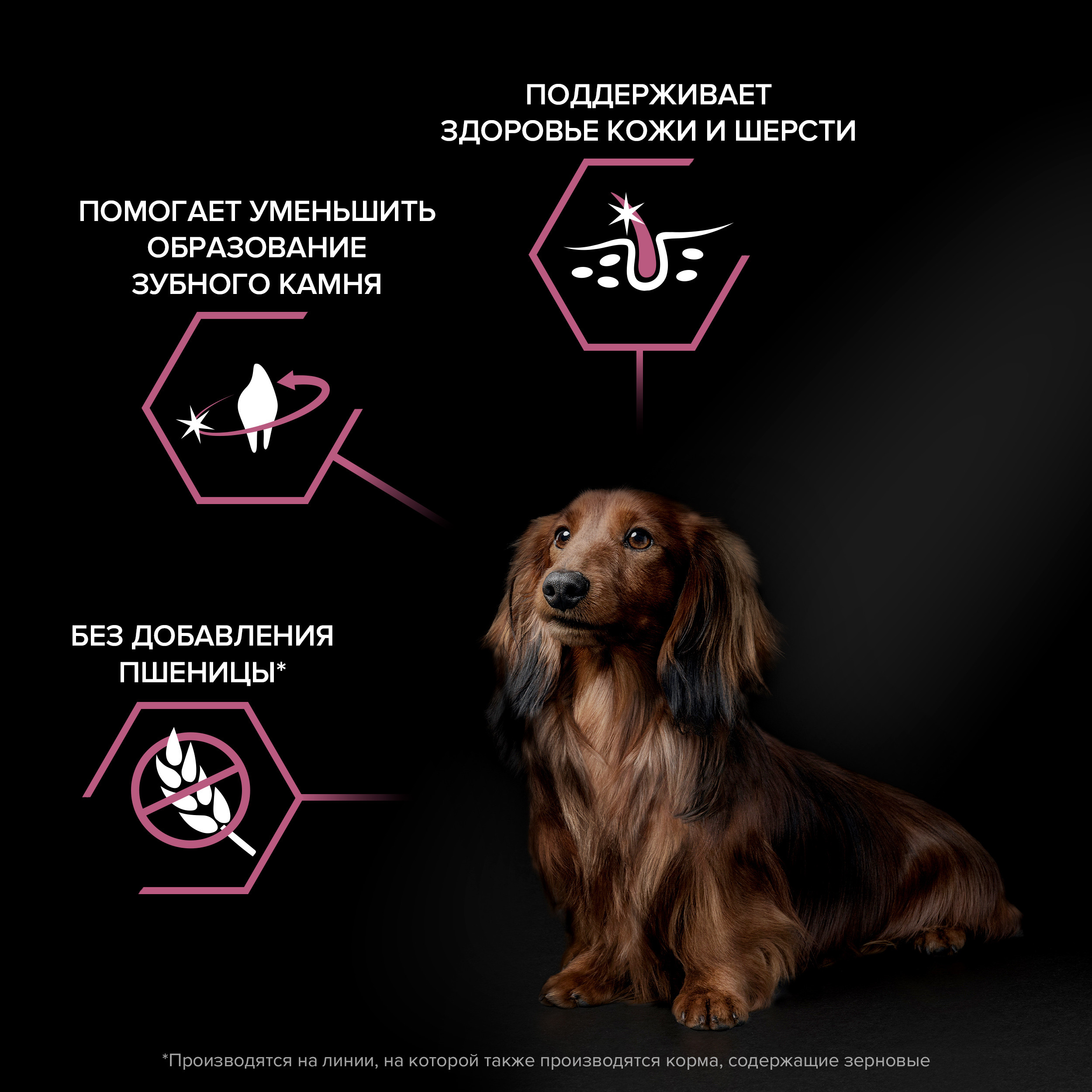 Корм для собак PRO PLAN мелких и миниатюрных пород с чувствительной кожей с комплексом Optiderma лосось с рисом 7кг - фото 5