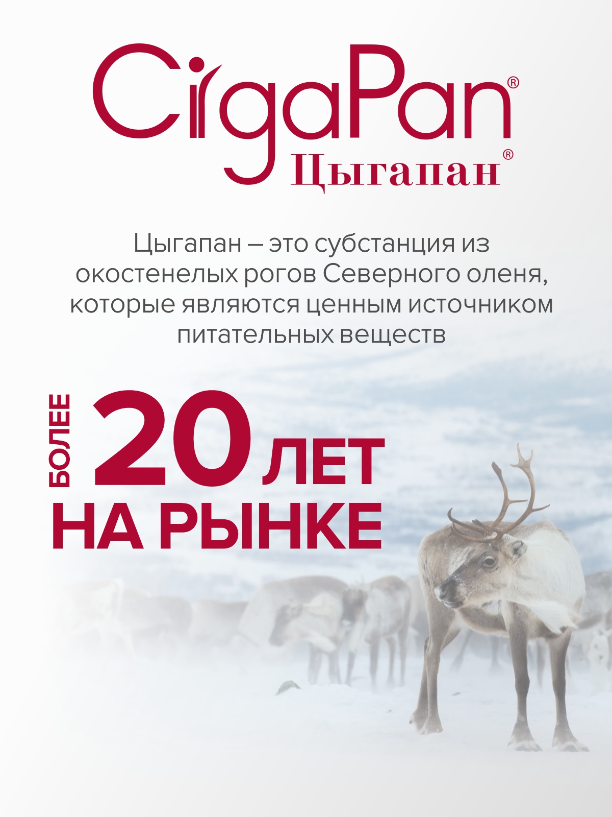 Цыгапан витамины для детей CigaPan Цыгапан детский витаминный комплекс для иммунитета, 30 таблеток 200 мг - фото 15