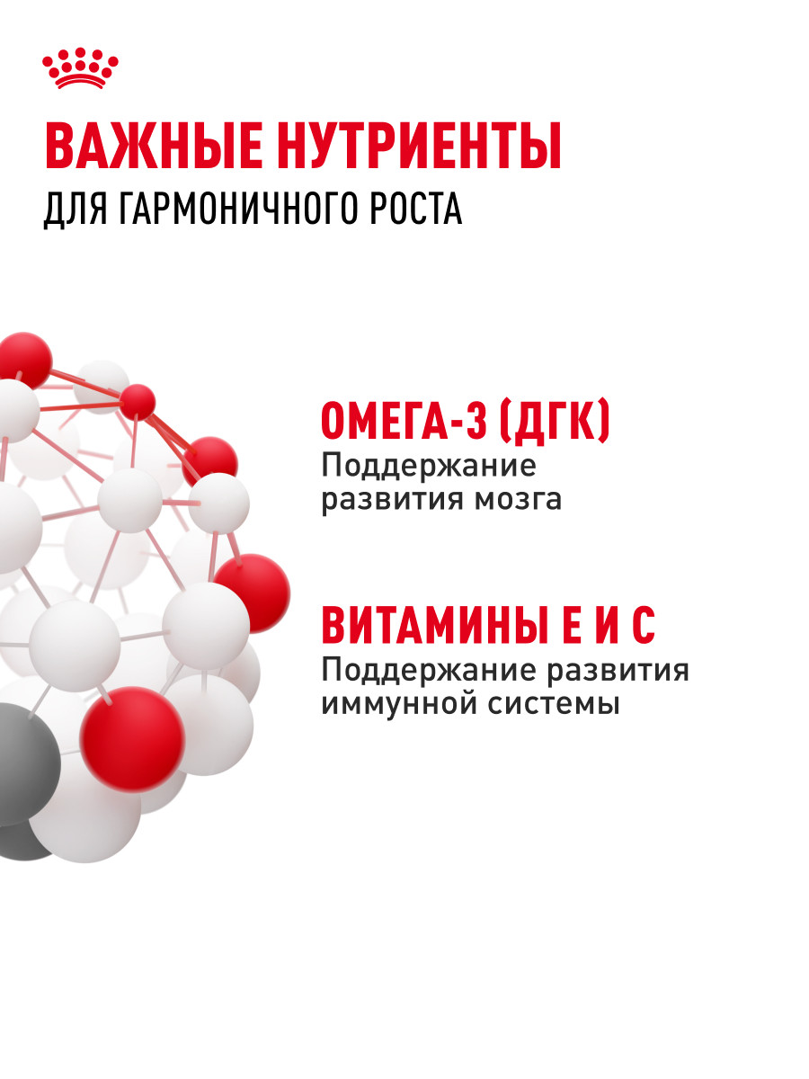 Корм влажный для котят ROYAL CANIN Kitten 85г кусочки в соусе 77851 - фото 5