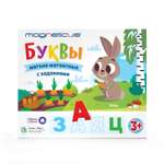 Настольная игра MAGNETICUS