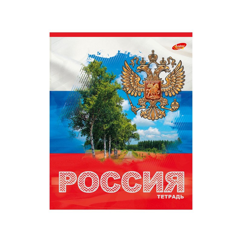 Общая тетрадь Академия Холдинг клетка 48 лист. - фото 3