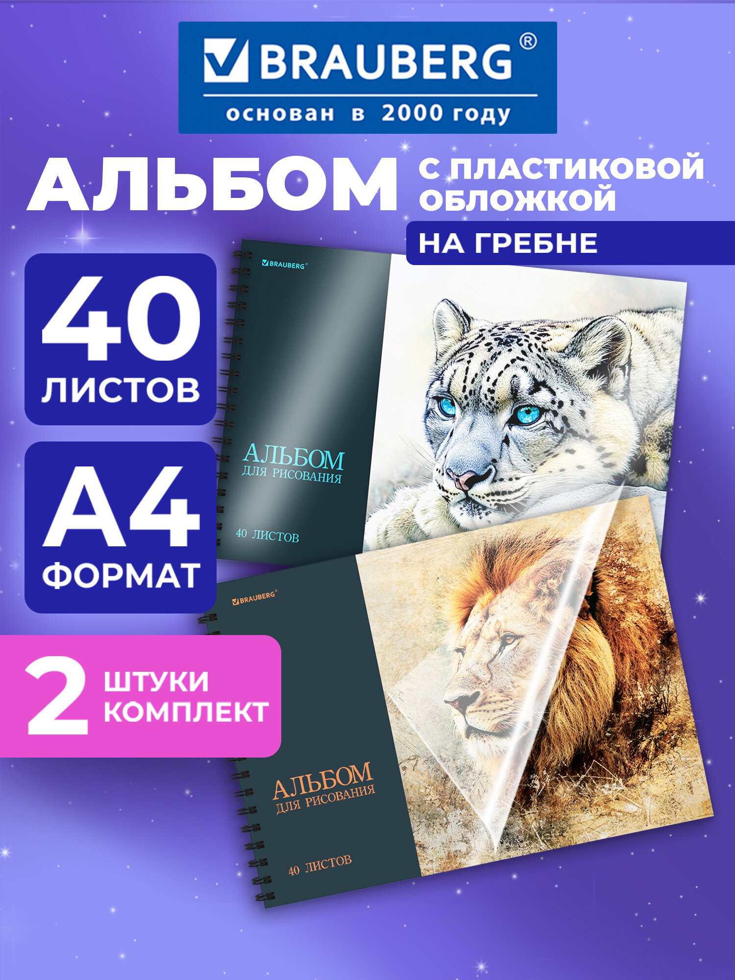 Альбом Brauberg А4 40 лист. 2 шт. - фото 1
