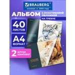 Альбом Brauberg А4 40 лист. 2 шт.
