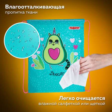 Сумка Пифагор