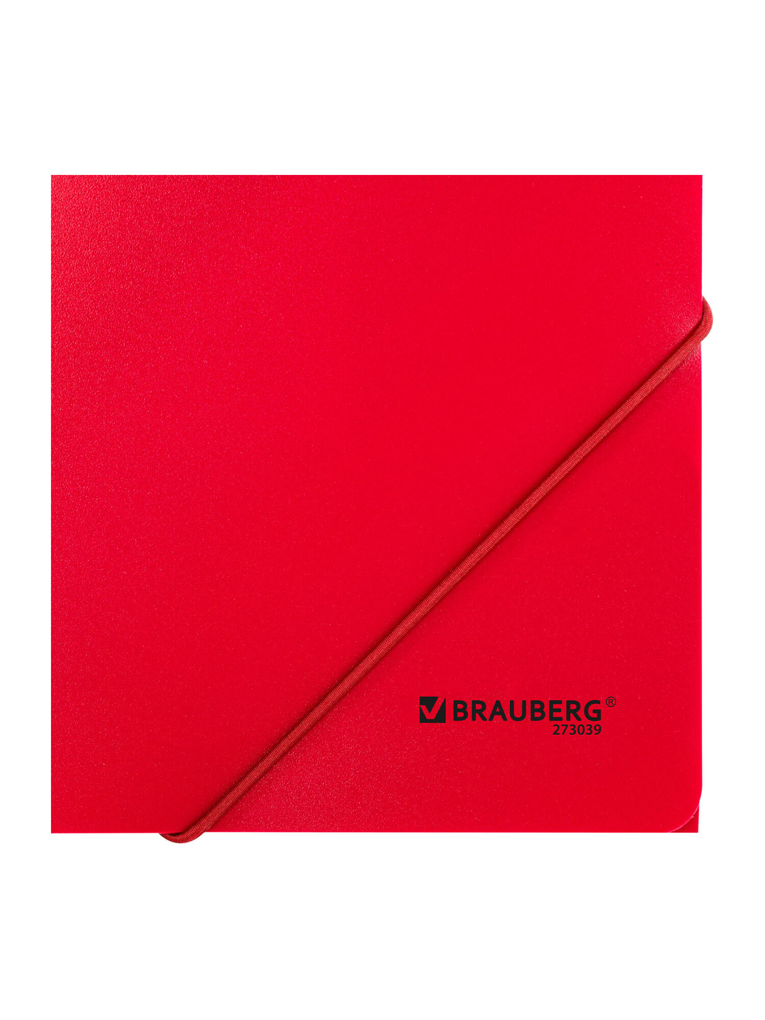 Папка для тетрадей Brauberg на резинках А4 - фото 10