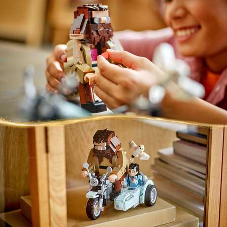 Конструктор LEGO Harry Potter Путешествие Хагрида и Гарри блочный