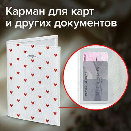 Обложка на документы Brauberg