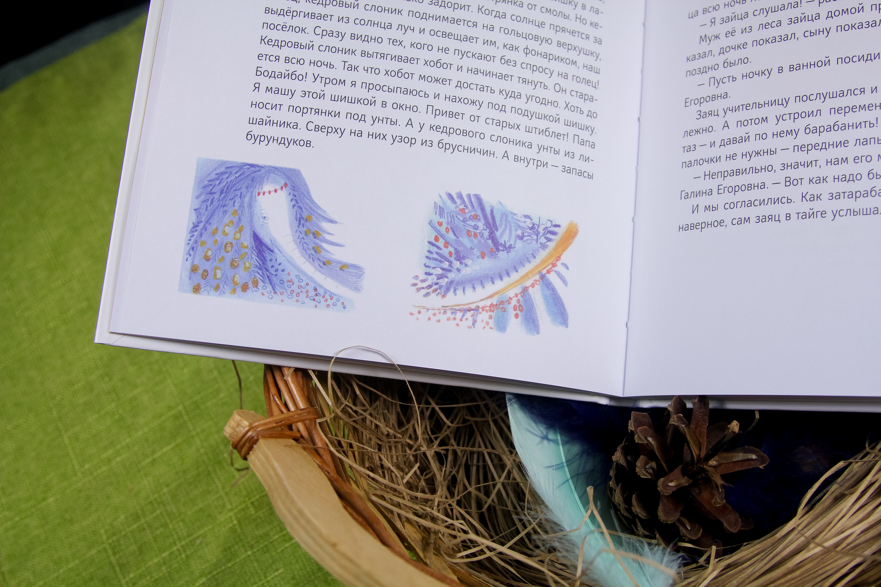 Книга Волчок Кедровый слоник - фото 8