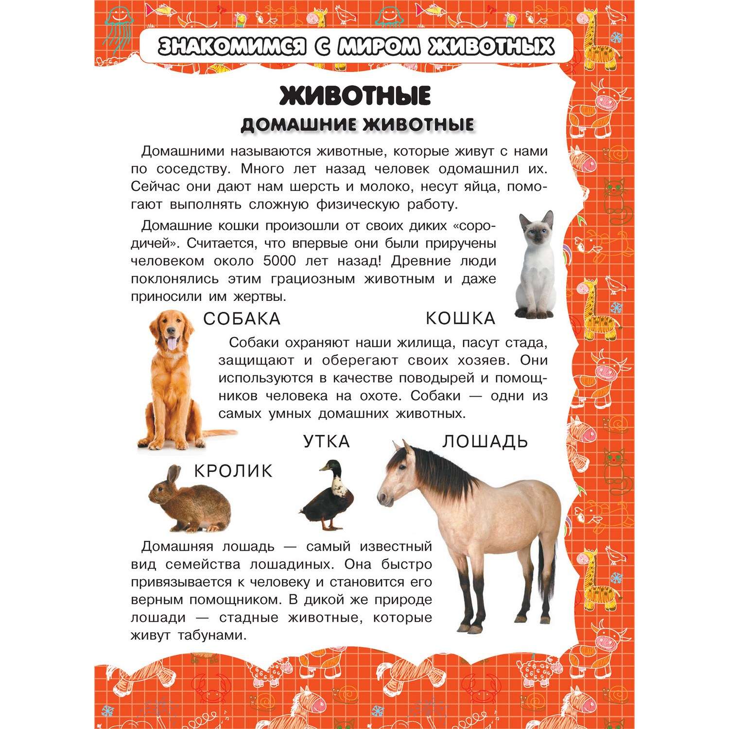 Книга Харвест Моя первая книга Животные - фото 2
