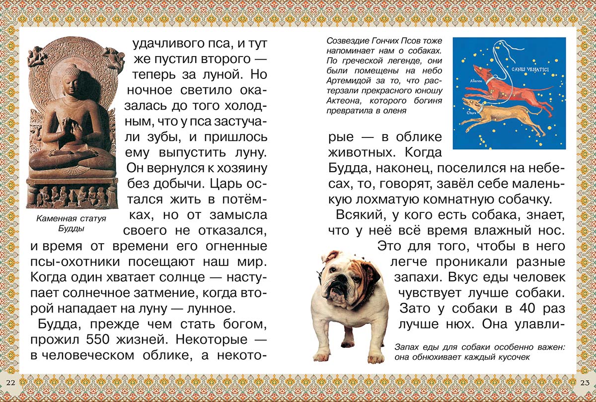Книга Белый город Каникулы и будни собаки - фото 9