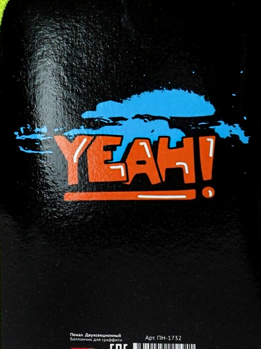 Пенал книжка Prof-Press - фото 3
