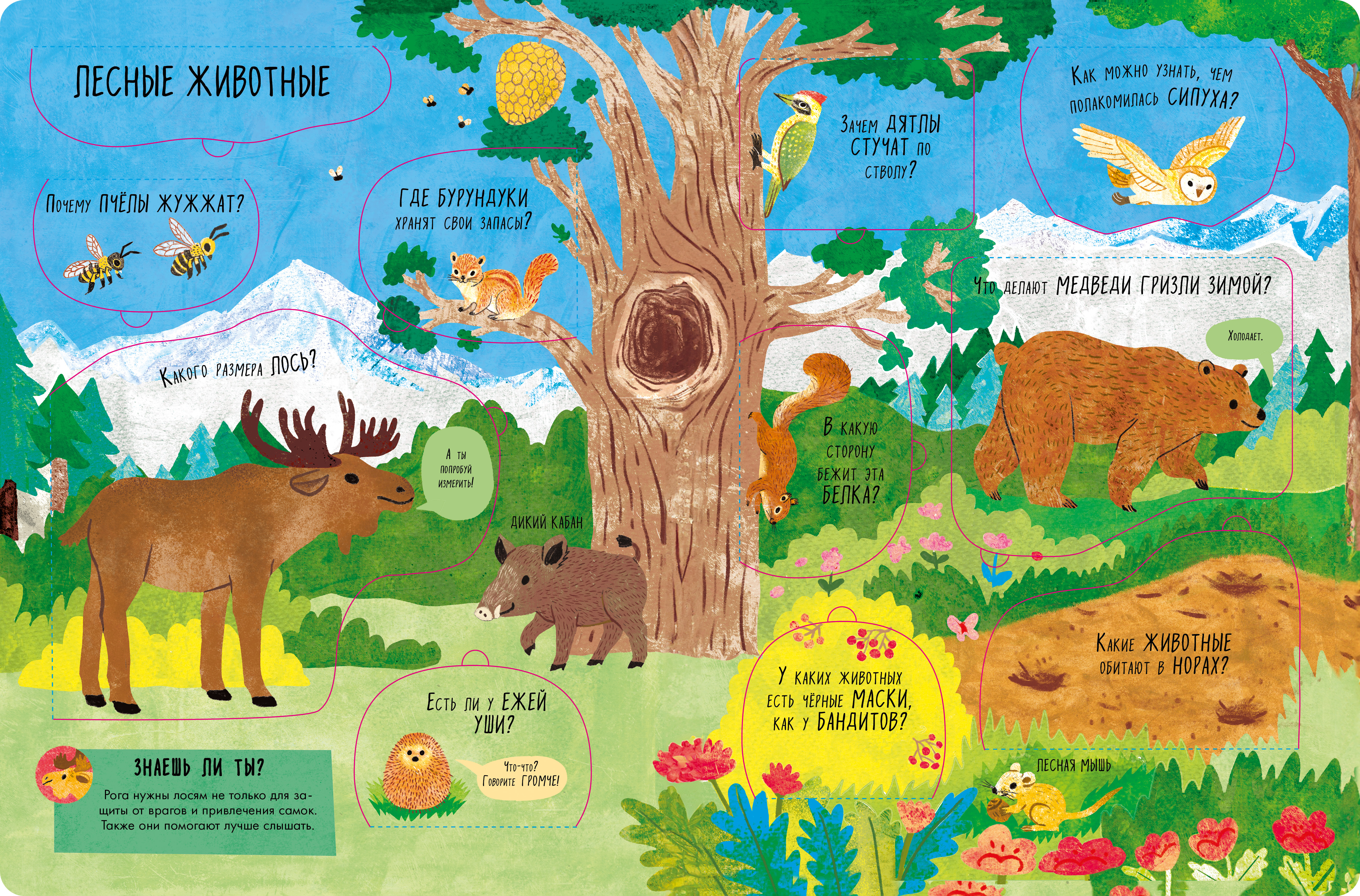 Большая книга Clever с окошками. Животные - фото 4