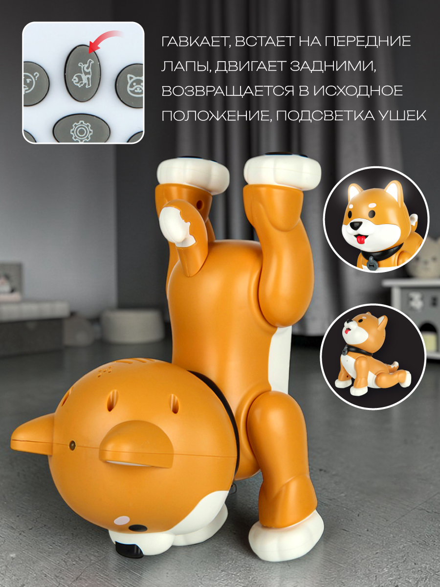 Собака РУ Veld Co - фото 12