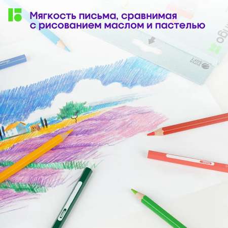 Карандаши цветные BERLINGO 36 шт.