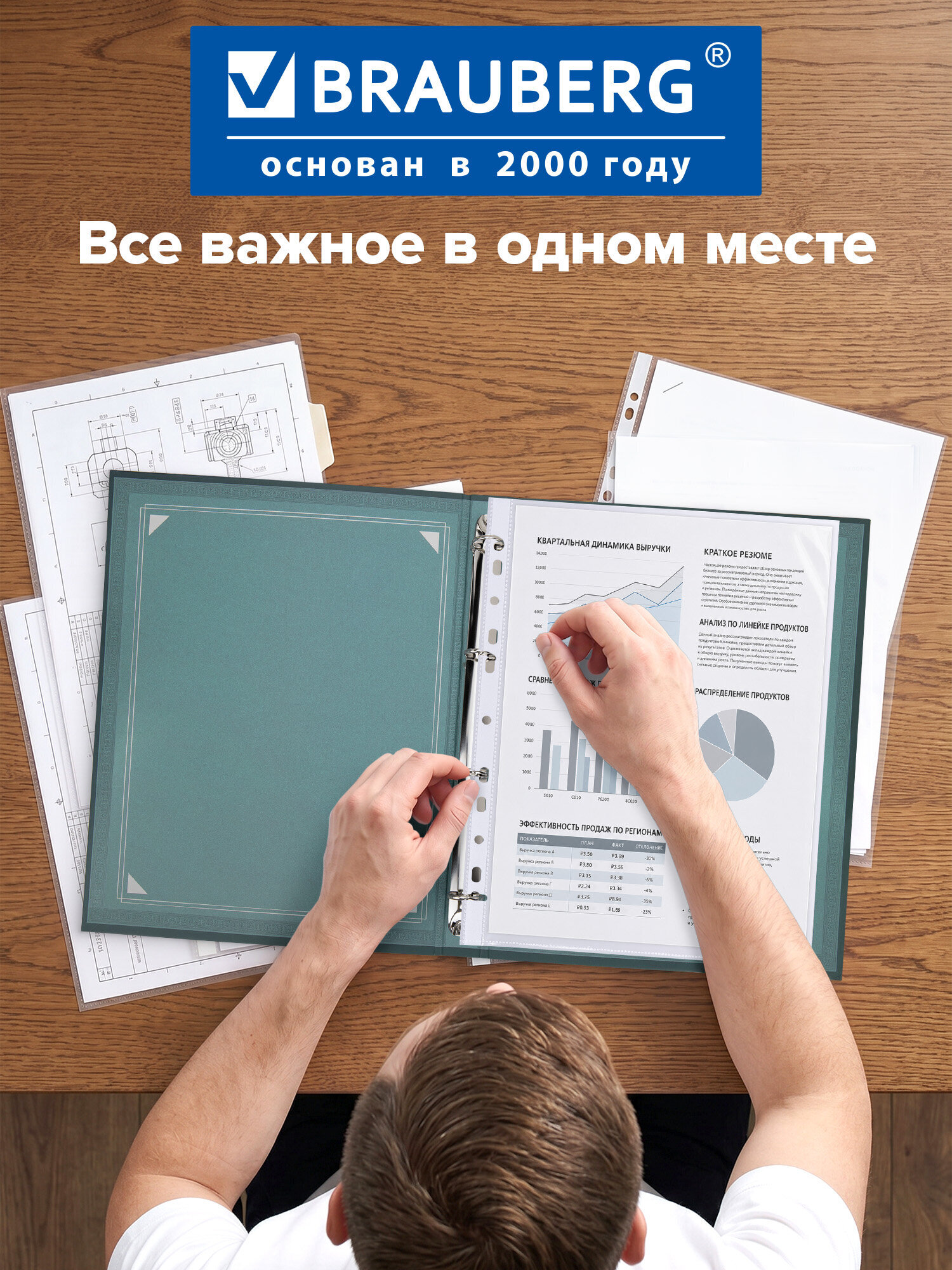 Портфолио школьника Brauberg папка А4 на кольцах 20 файлов для девочки и мальчика - фото 5
