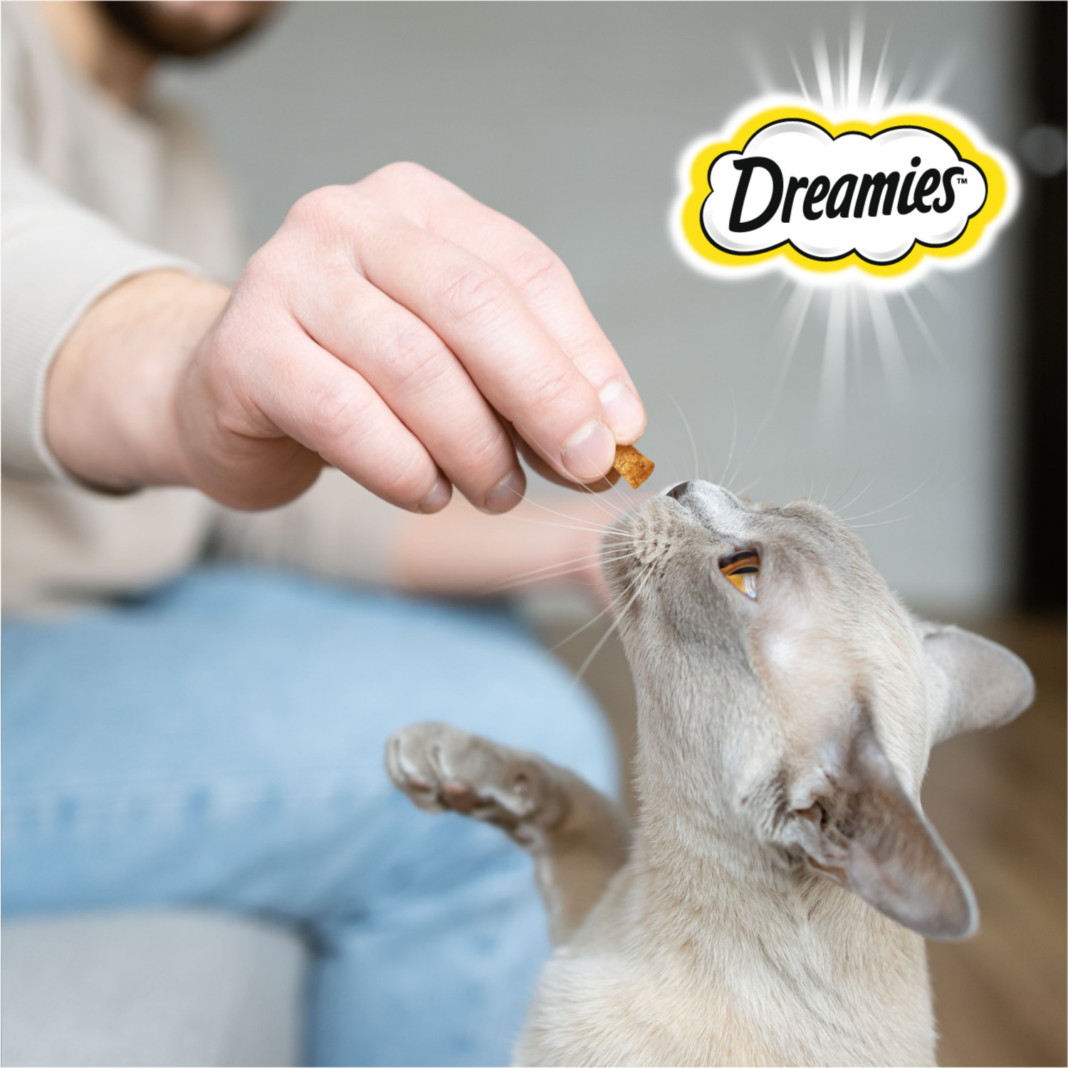 Лакомство для кошек Dreamies 140г с лососем - фото 8