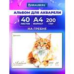 Альбом Brauberg