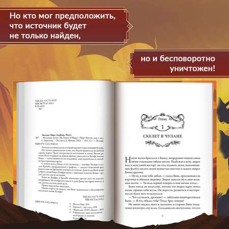 Книга Феникс Источник магии: фэнтези