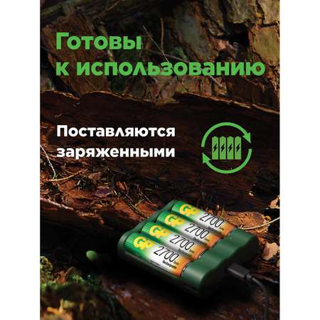 Акк. и зарядные устройства GP B4D45/210HCE-2B4