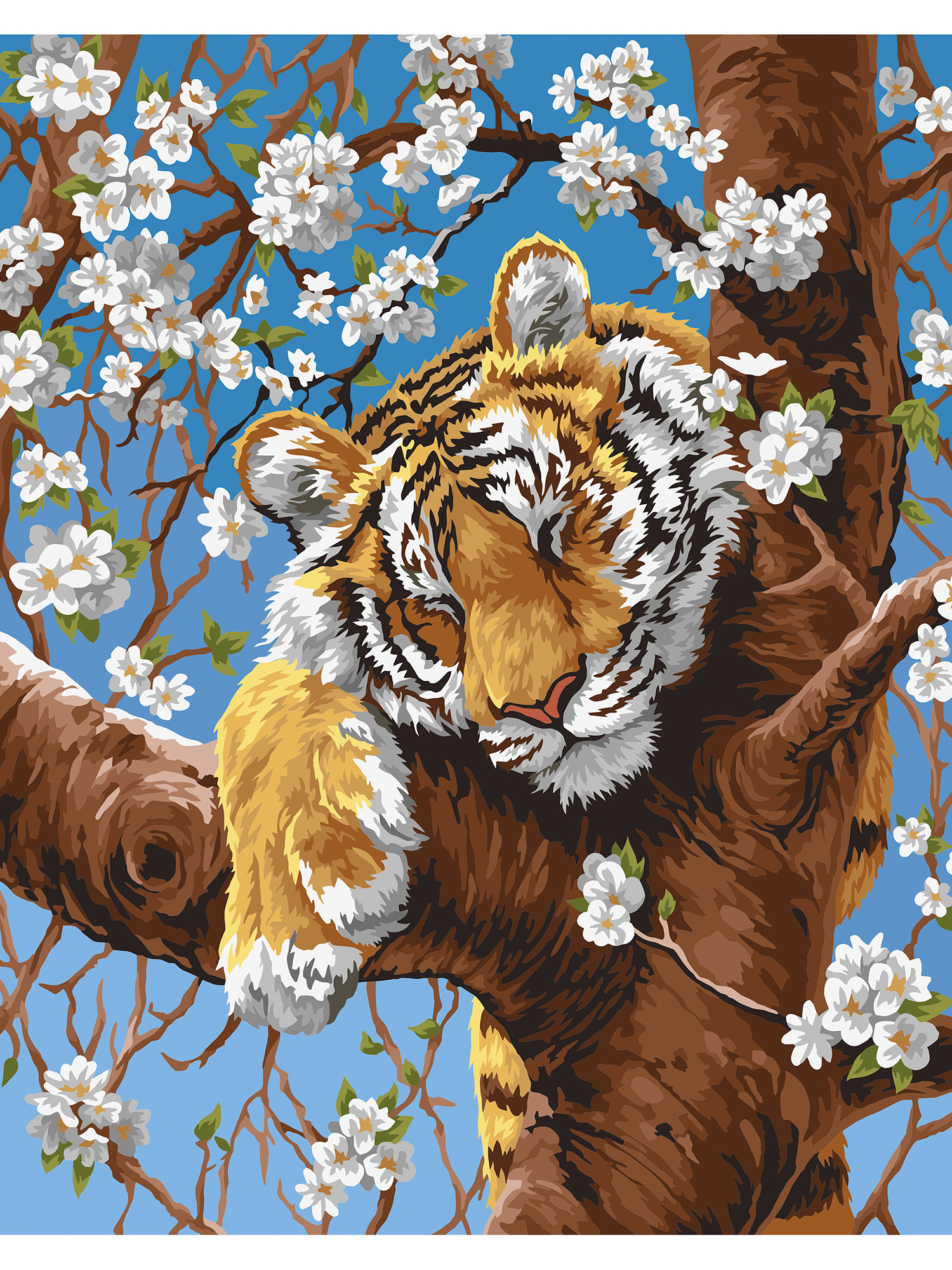 Картина по номерам Art on Canvas Весенний сон в ассортименте - фото 2