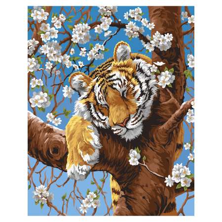 Картина по номерам Art on Canvas Весенний сон в ассортименте