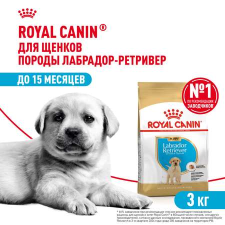 Корм для щенков ROYAL CANIN Labrador Retriever Puppy породы лабрадор ретривер 3кг