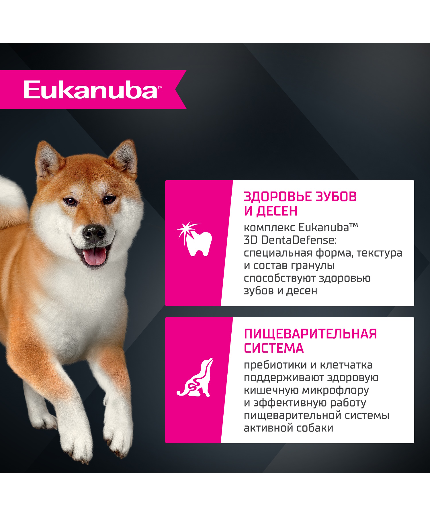 Корм для собак сухой для взрослых собак Eukanuba мелких и средних пород старше 1 года с ягненком 7кг - фото 3