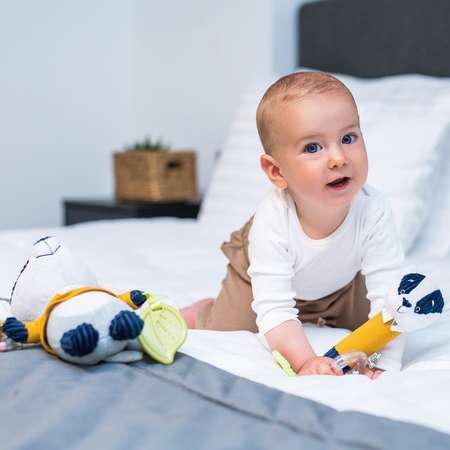 Игрушка Babyono погремушка Барсук Edmund в ассортименте