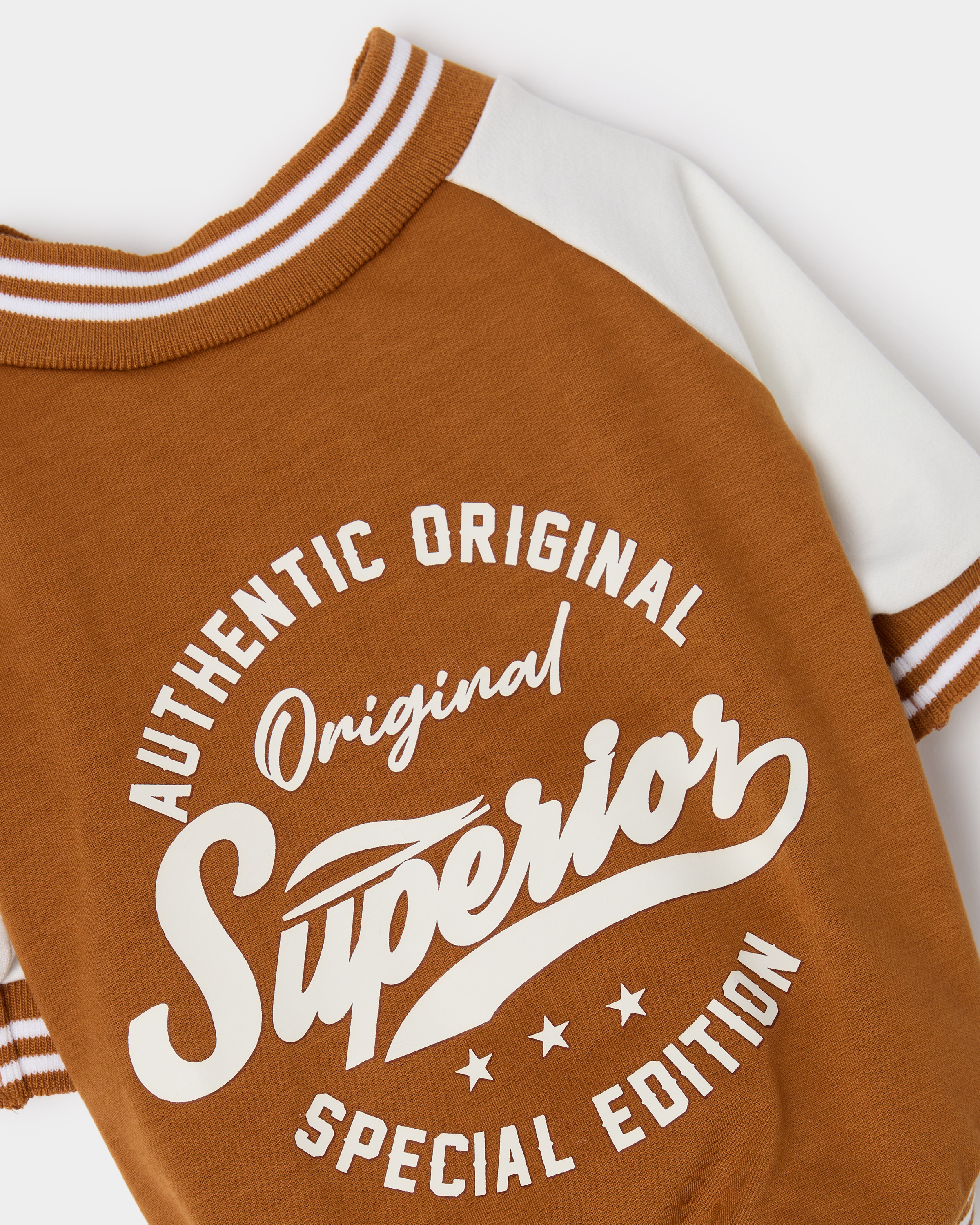 Бомбер для собак и кошек Зоозавр - фото 6