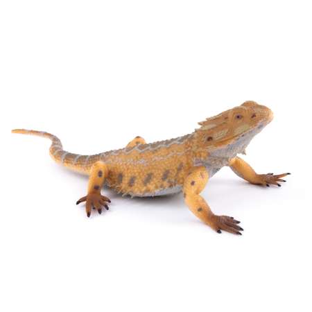 Игровой набор Collecta Набор насекомых, 3 шт, №1