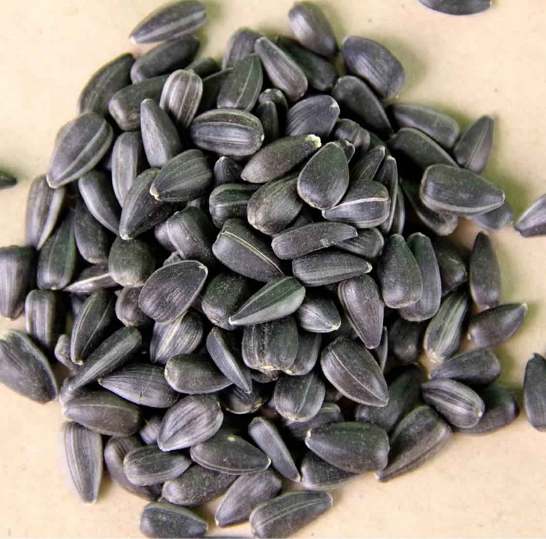 Семена для микрозелени Никольские ПроРостки подсолнечник - фото 2