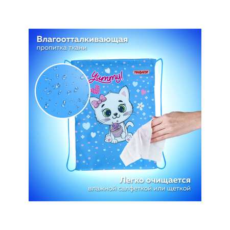 Сумка Пифагор