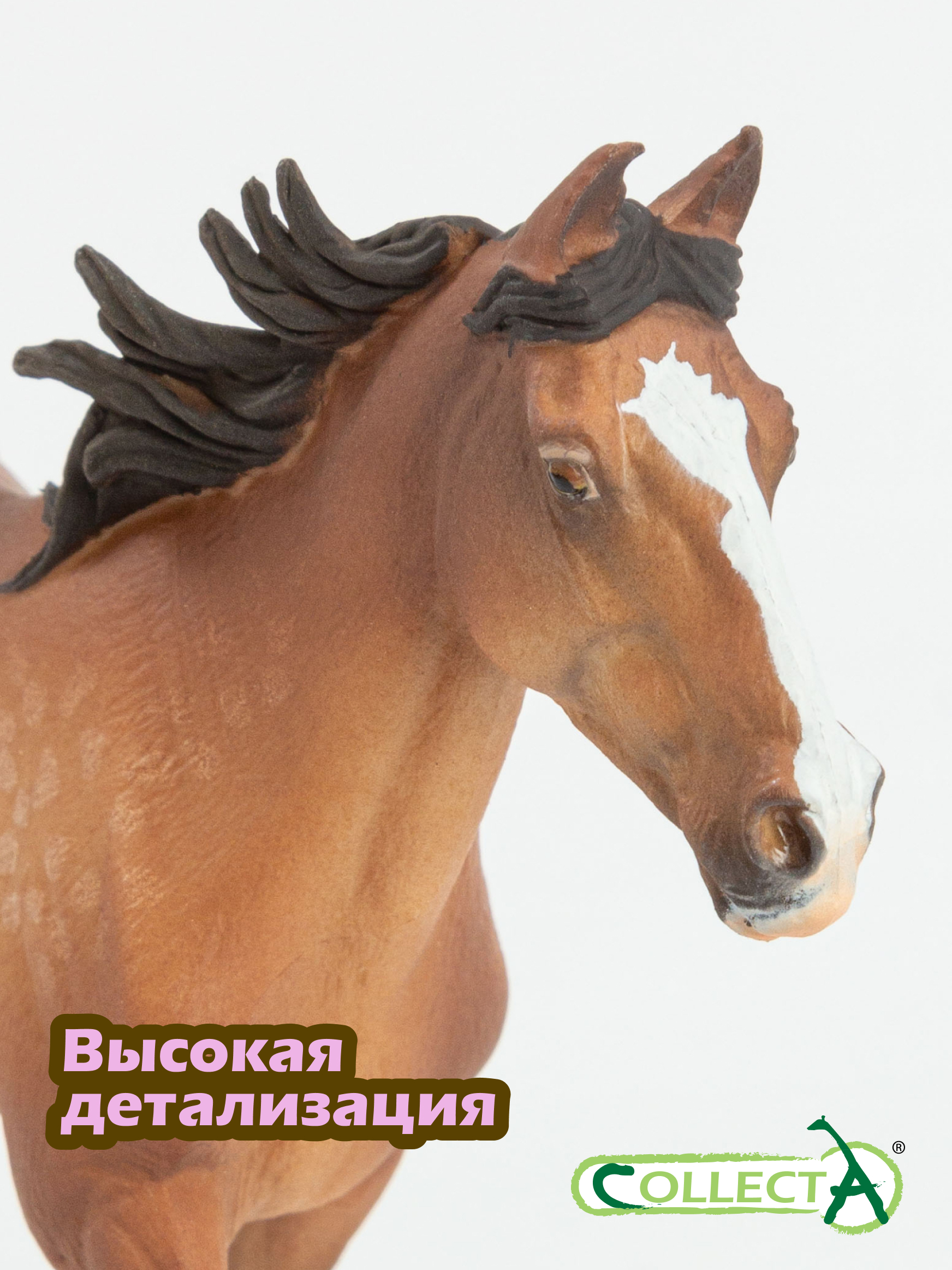 Фигурка Collecta Лошадь стандартбредный жеребец - фото 3
