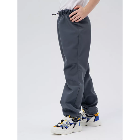 Брюки Lemonwear