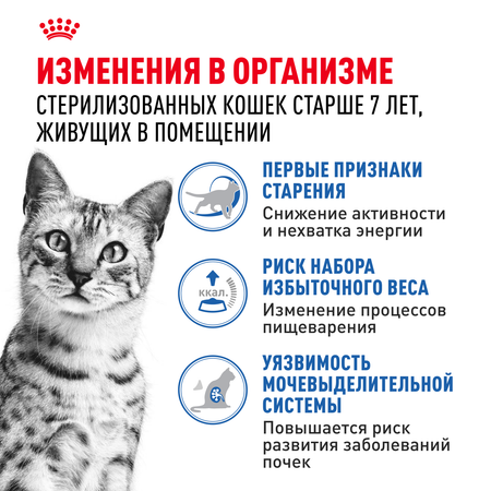 Корм для кошек ROYAL CANIN Indoor 85г для пожилых стерилизованных кошек 7+ желе пауч