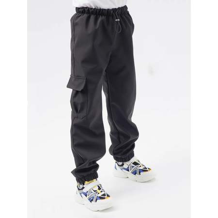 Брюки Lemonwear