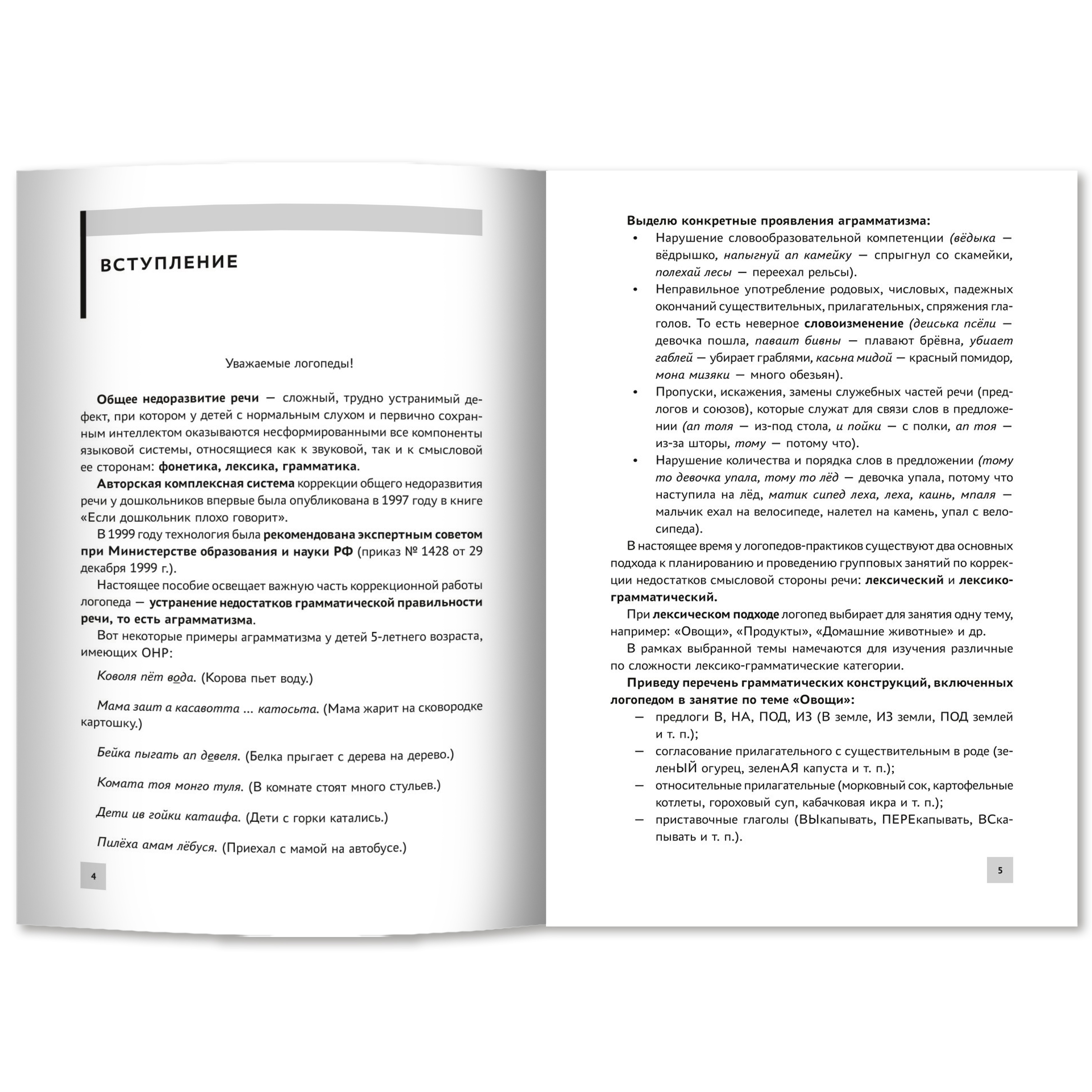 Формирование лексико грамматич. предст Феникс Книга - фото 11