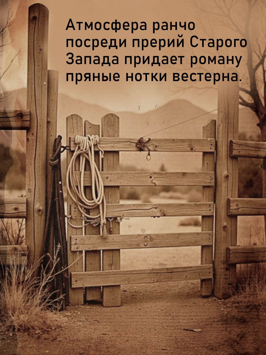 Книга Иностранка Союз рыжих. - фото 4
