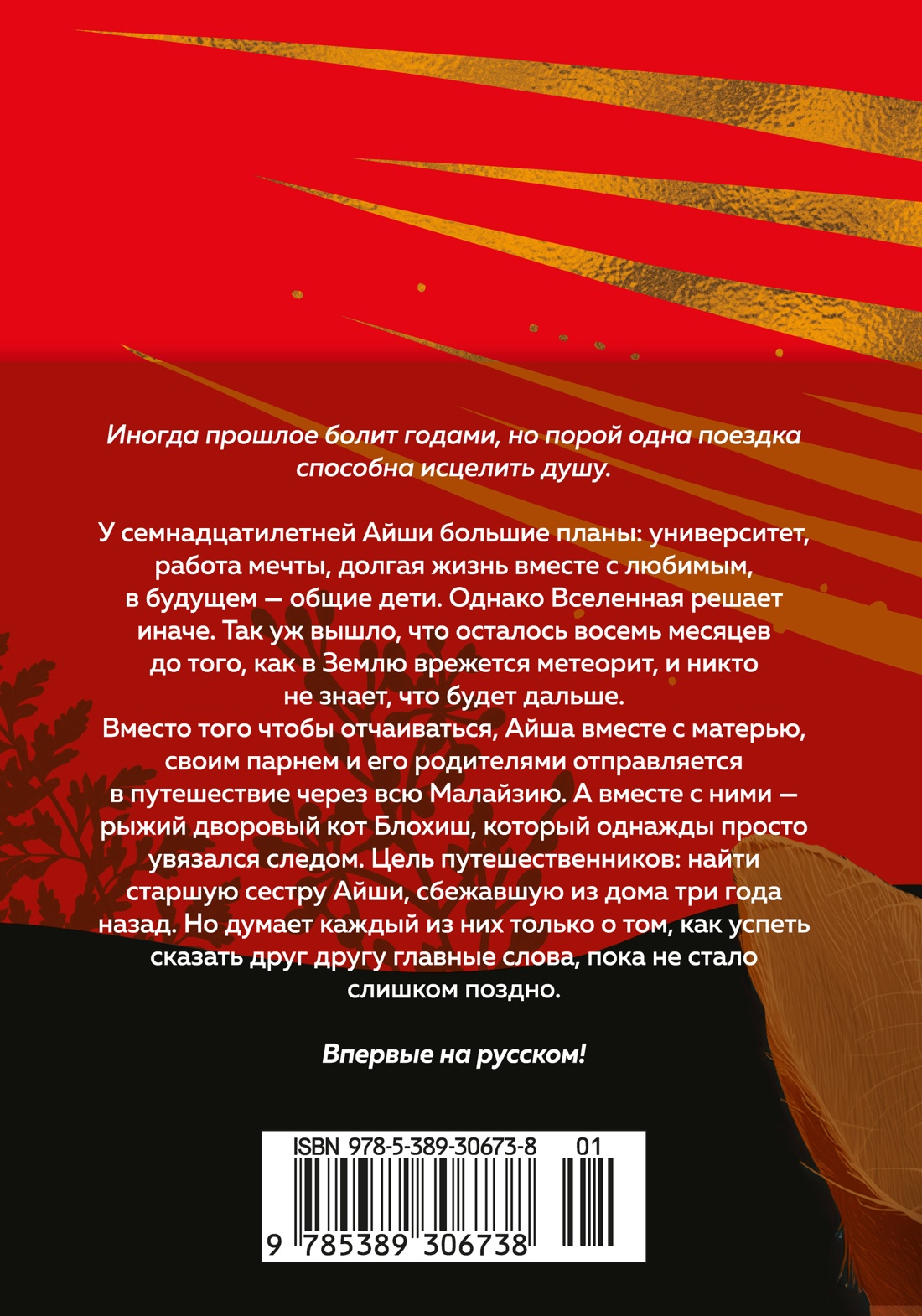 Книга АЗБУКА Эмоцио Микаил Н Выходя из дома не забудьте кота - фото 4