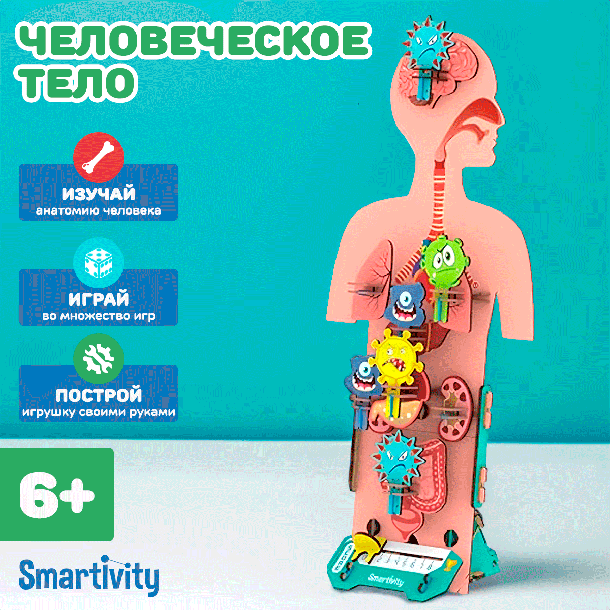 Конструктор Smartivity Человеческое тело SMRT1222 - фото 5