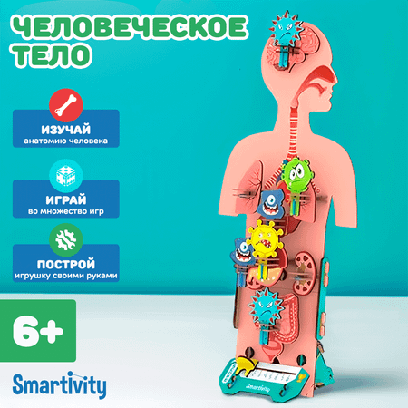 Конструктор Smartivity Человеческое тело
