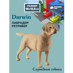 Фигурка DARWIN Собака Лабрадор ретривер
