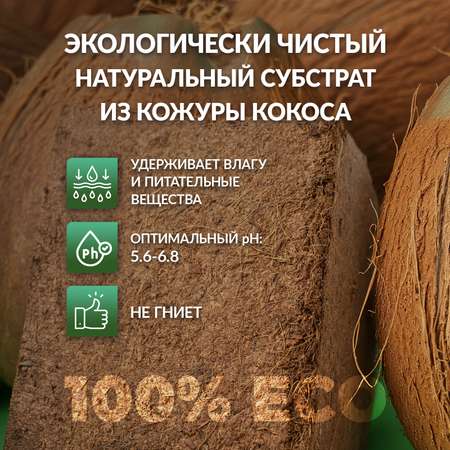 Кокосовый субстрат Mellingward для улиток и рассады 7 л