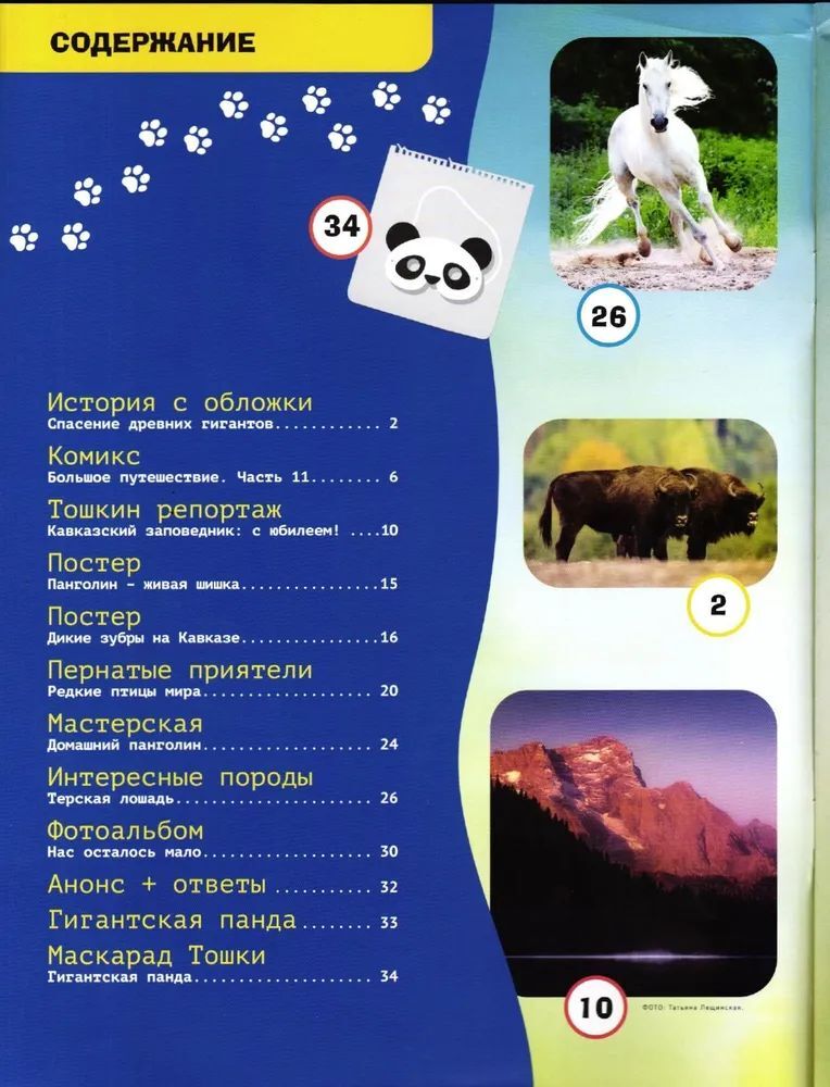 Набор из 2-х детских журналов ИД Лев №11 и №12 2024г - фото 4