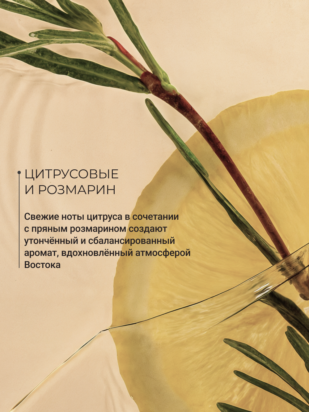 Дезодорант Zeitun минеральный натуральный аромат Цитрус с квасцами 150 мл - фото 3